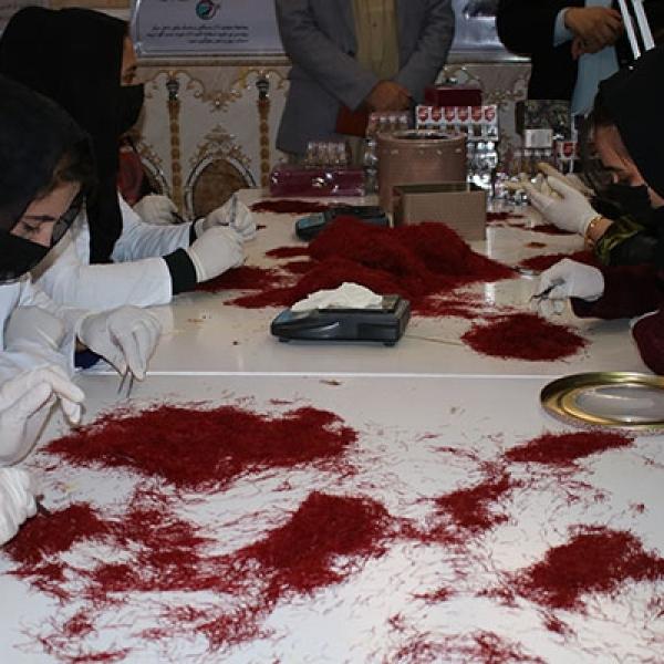 پروسس